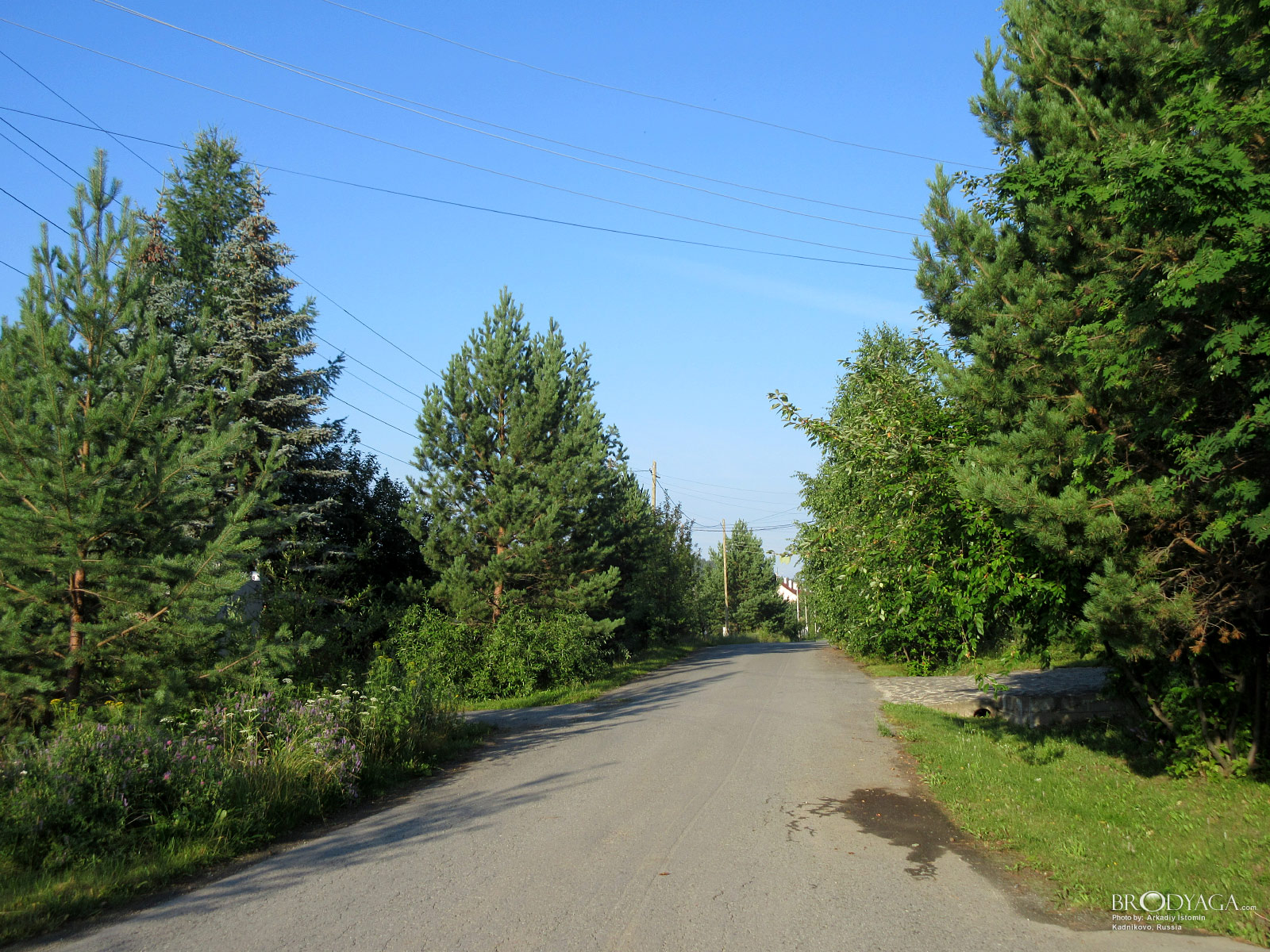 Kadnikovo (Кадниково)